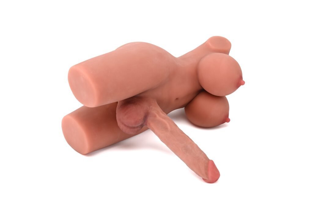 DSC 1510 1024x683 1 1