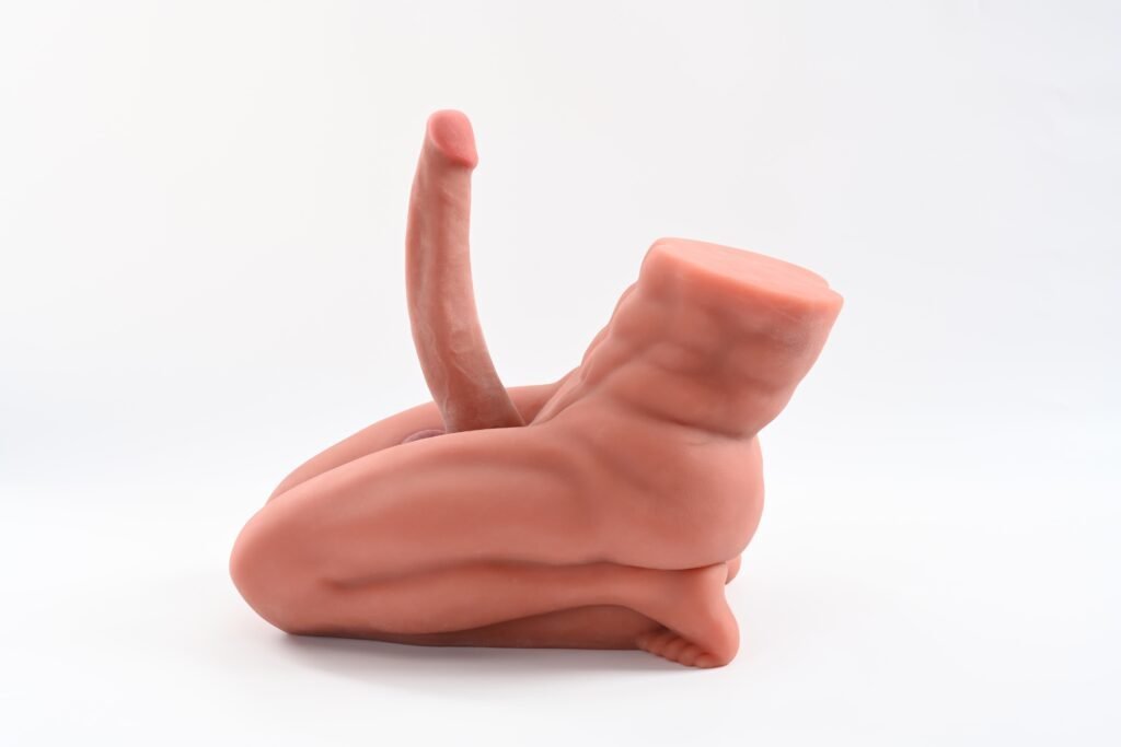 DSC 2888 1024x683 1 1