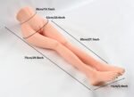70 CM  Leg Model - Image 6