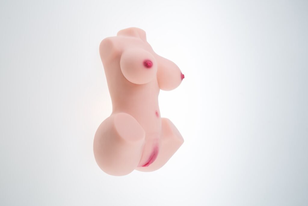 IMG 9972 1024x683 1 1