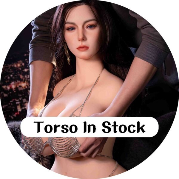 Torso in stock